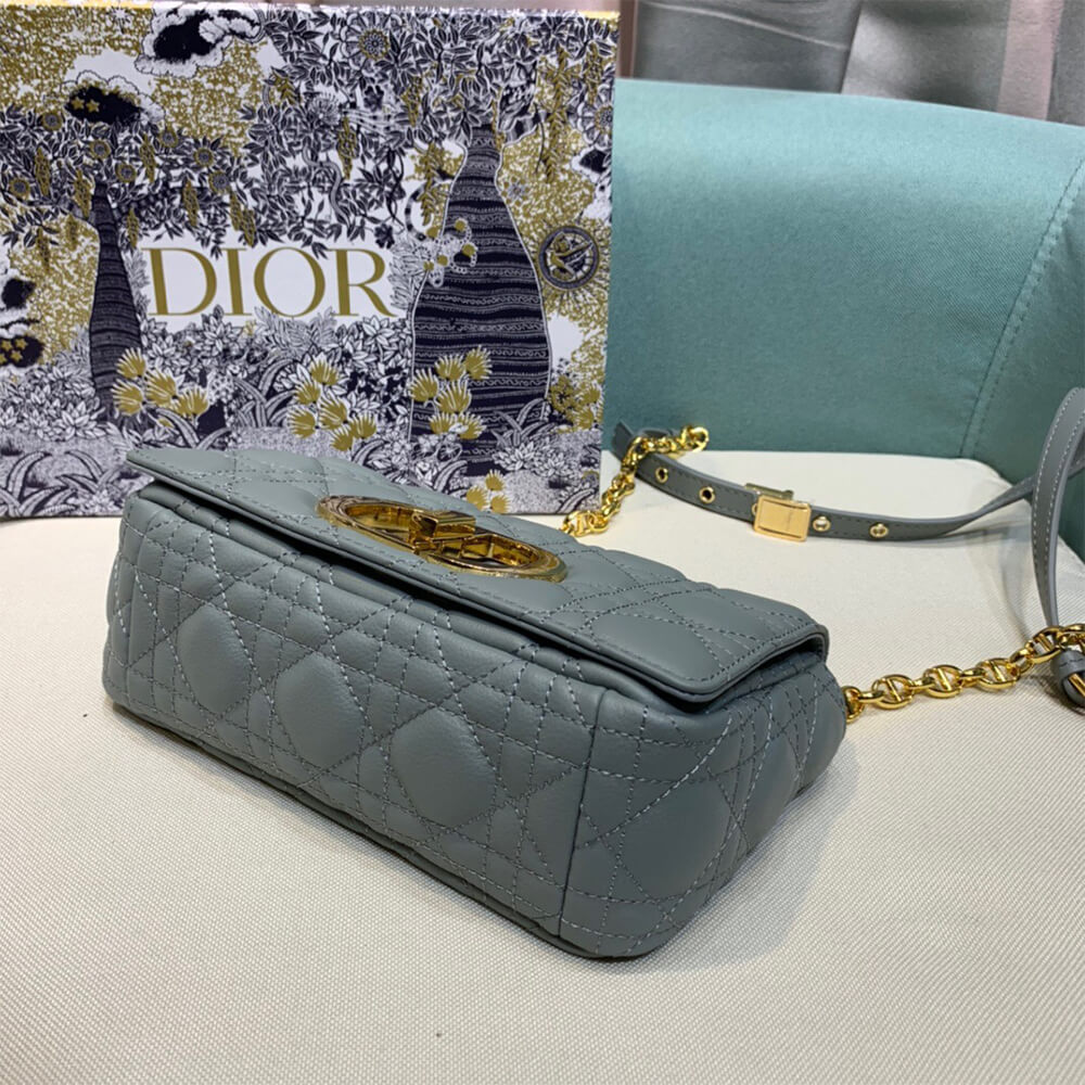 SMALL D10r CARO BAG