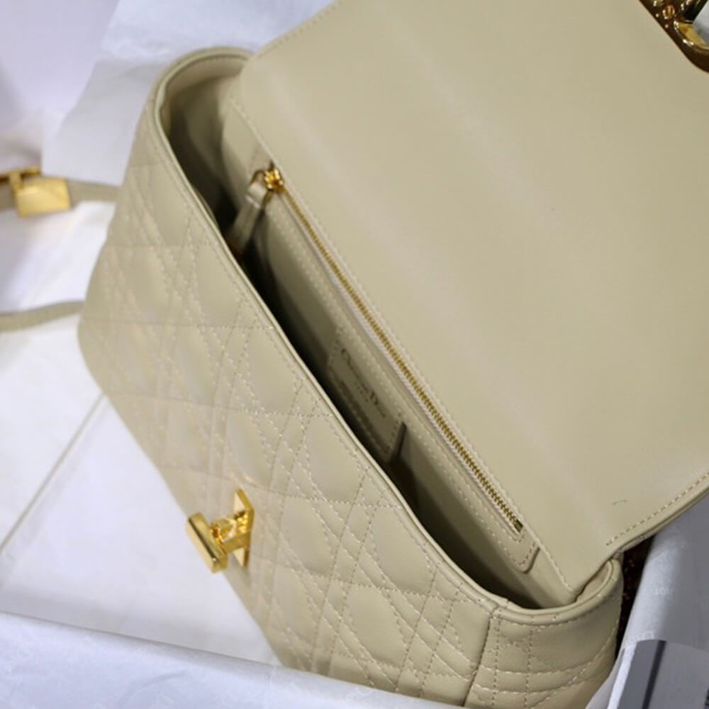 MEDIUM D10r CARO BAG