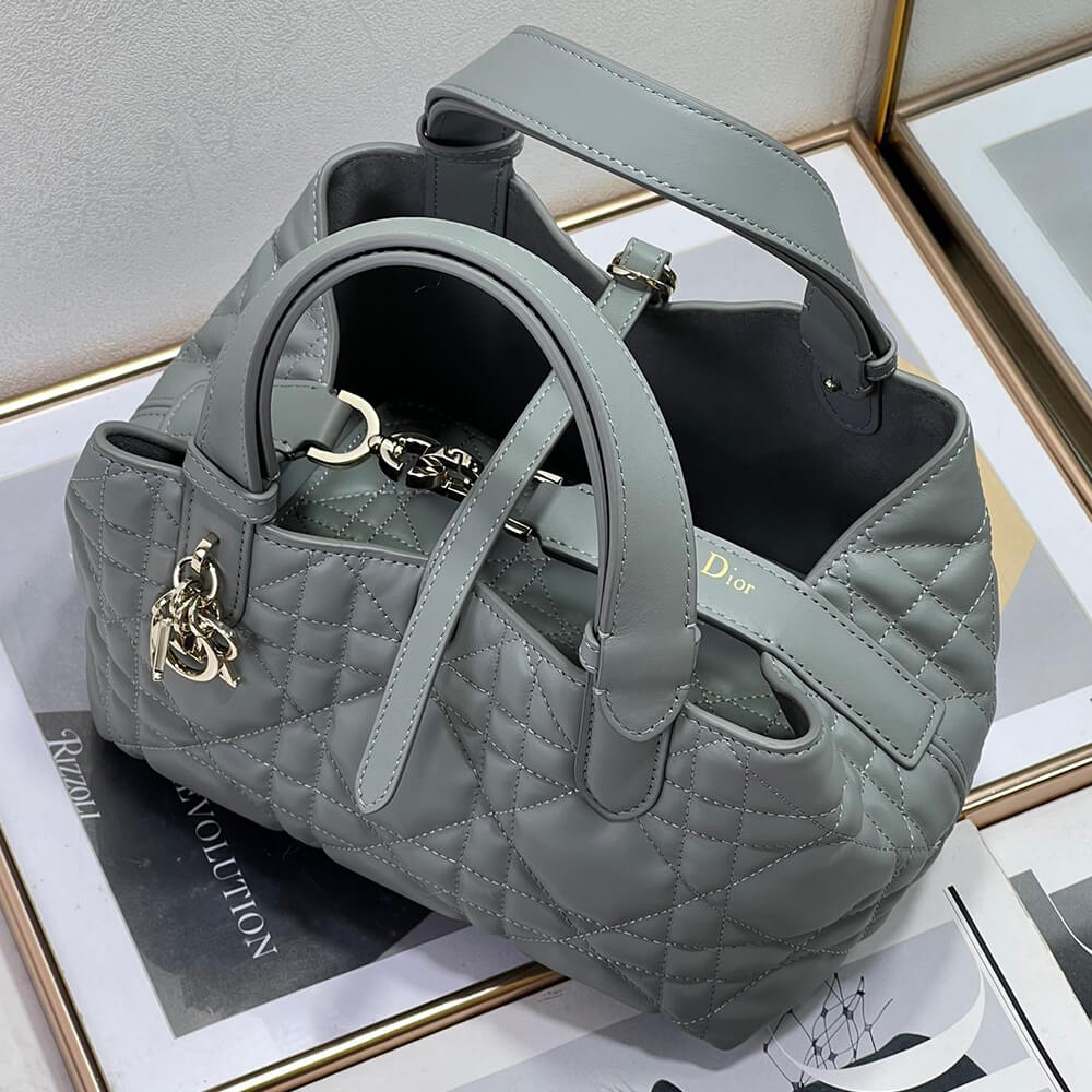 Small D10r TOUJOURS BAG