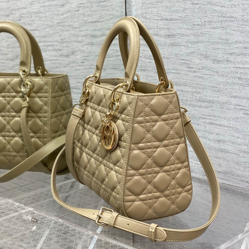 Medium Lady D10r Bag(HIGH-END GRADE)