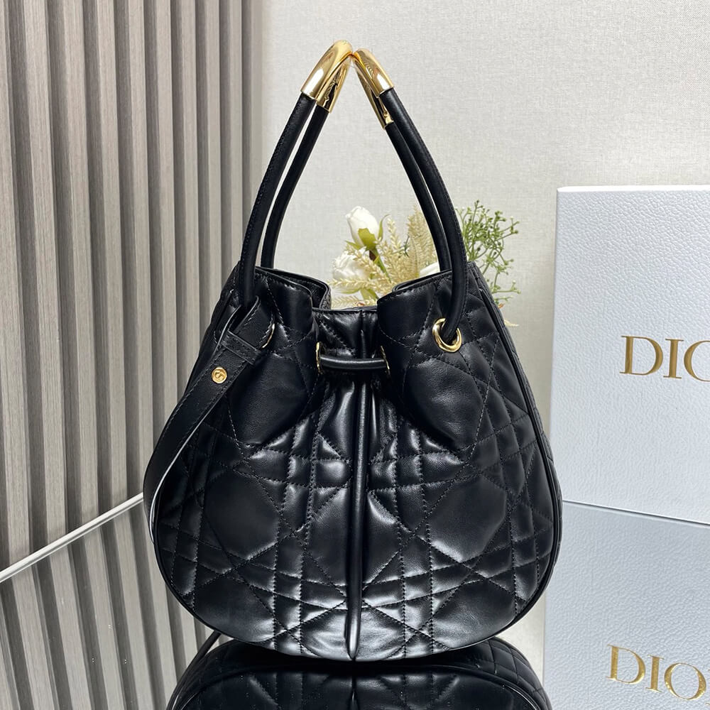 Medium D10r Nolita Bag