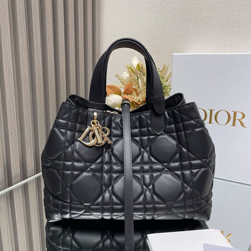 MEDIUM D10r TOUJOURS BAG(HIGH-END Grade)