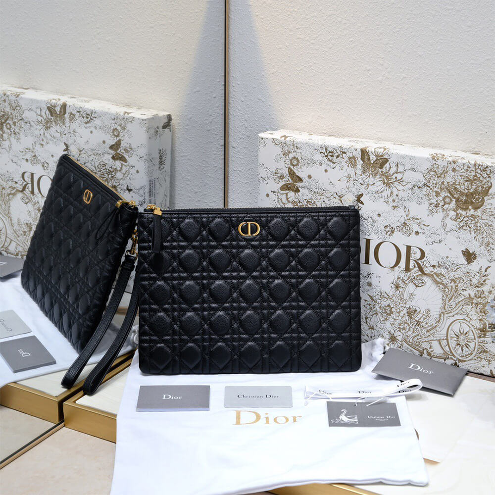 Large D10r Caro Daily Pouch(HIGH-END GRADE)