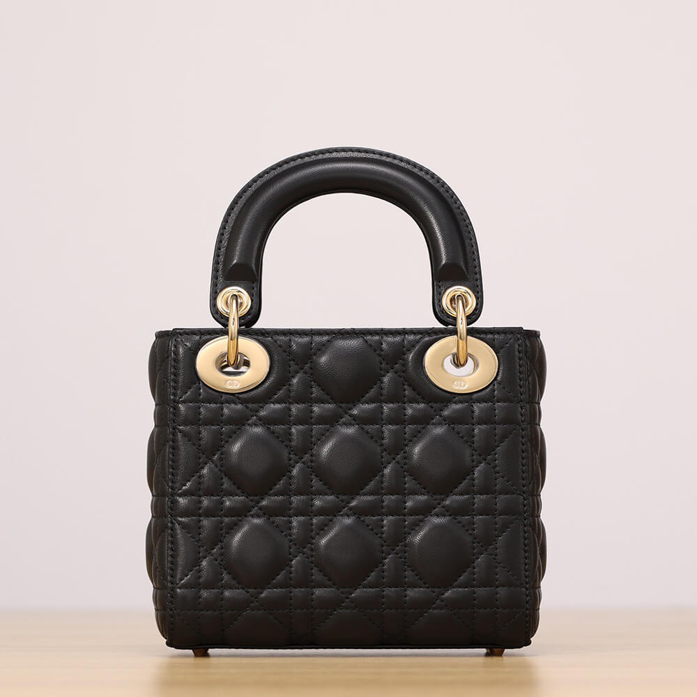 Mini Lady D10r Bag(HIGH-END GRADE)