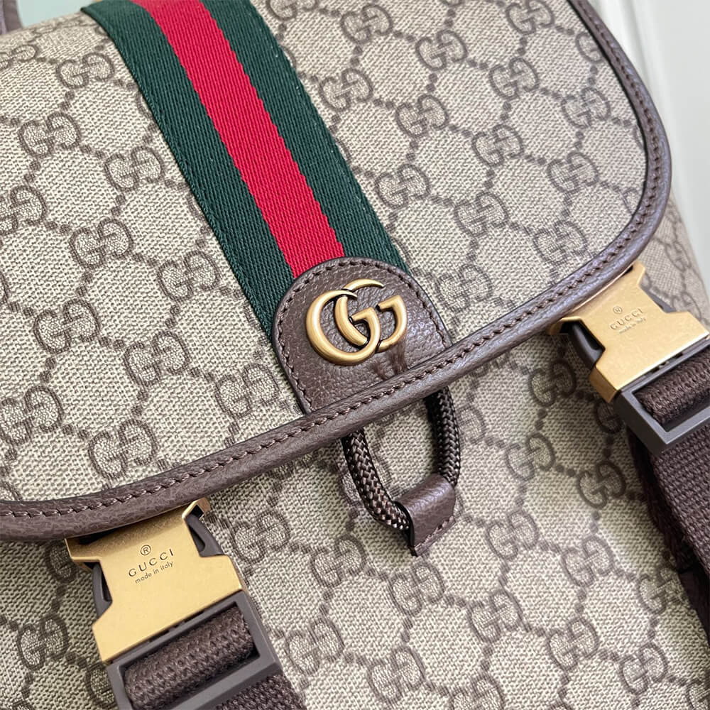Gvc*1 Ophidia large backpack(HIGH-END GRADE)