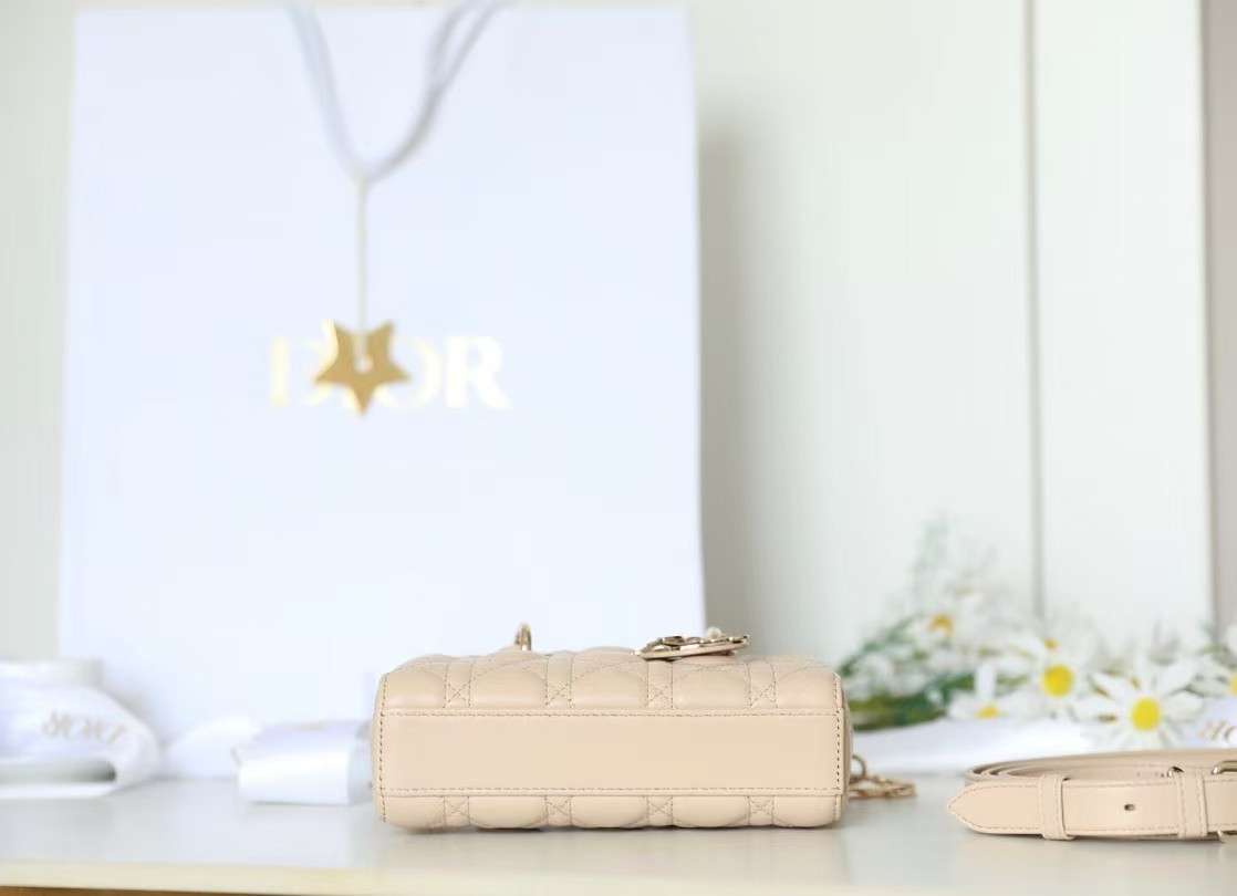 D10r mini lady d-joy bag 19x10.5x5.5cm