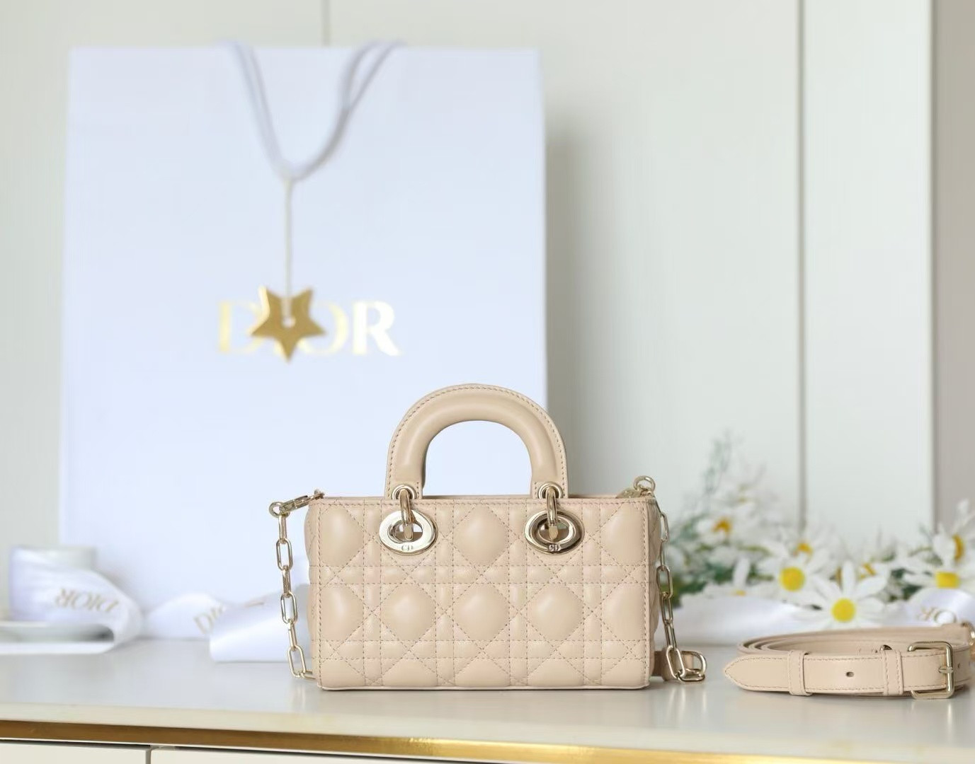 D10r mini lady d-joy bag 19x10.5x5.5cm
