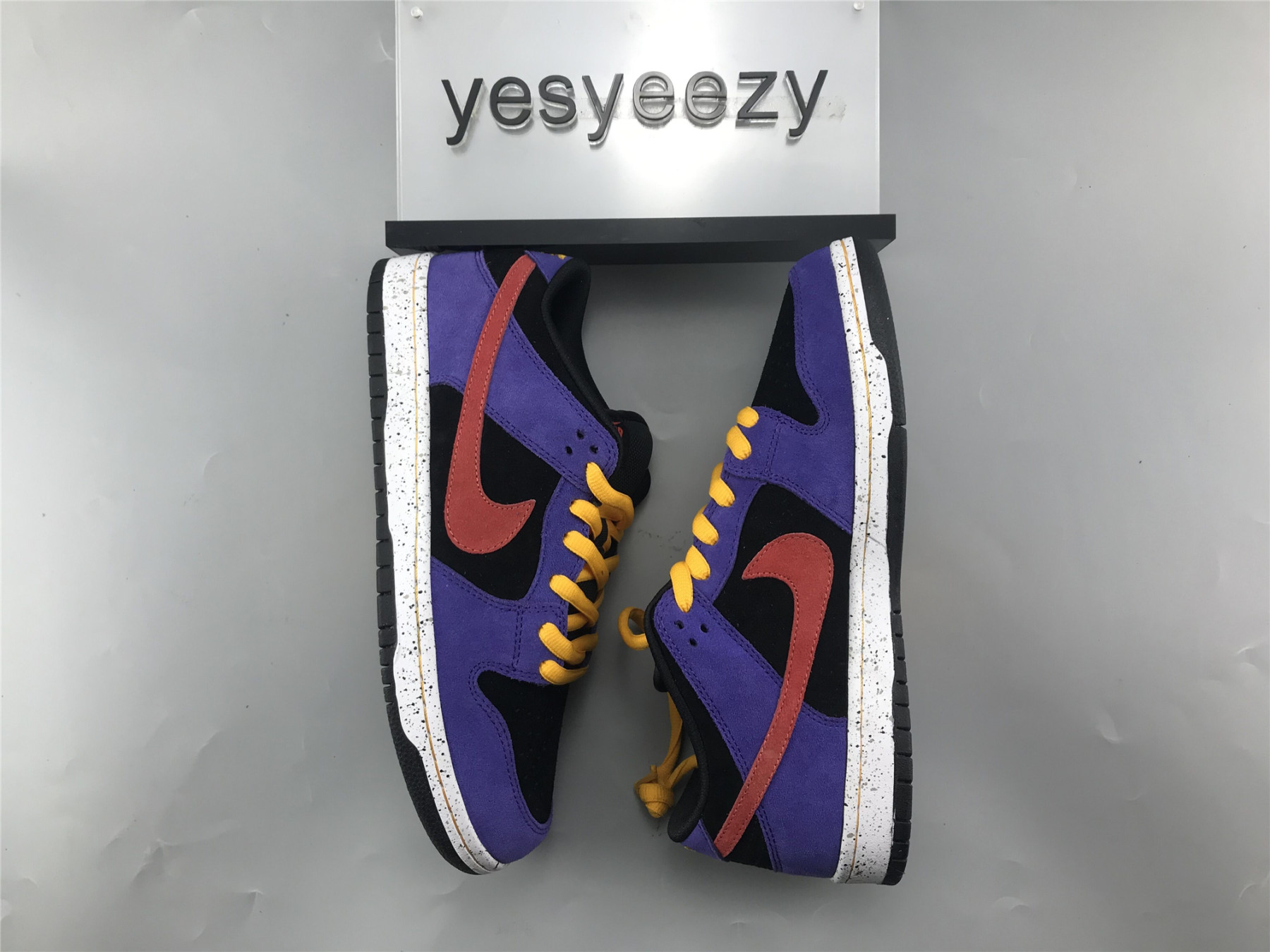 UA NIKE DUNK LOW SB