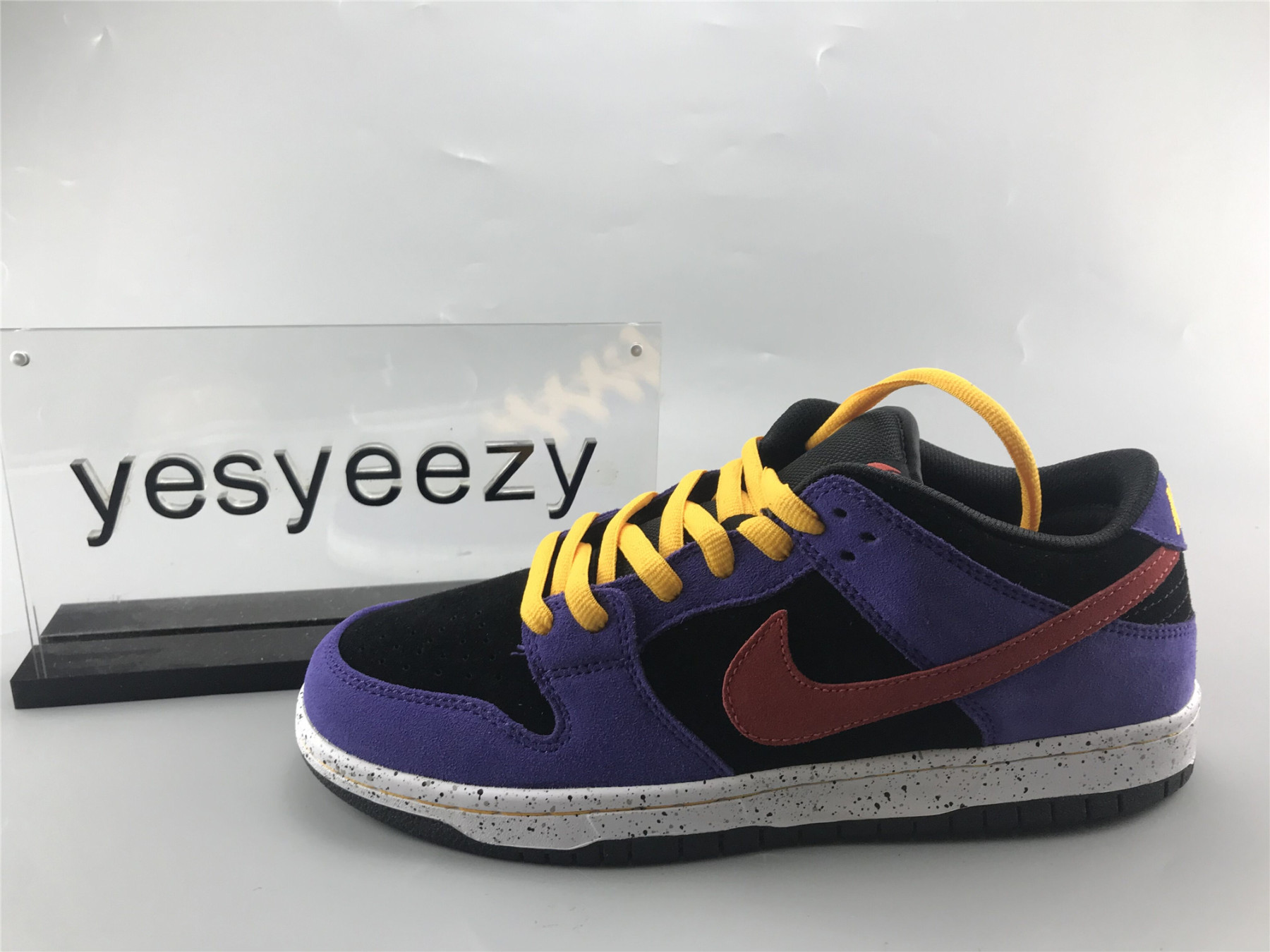 UA NIKE DUNK LOW SB