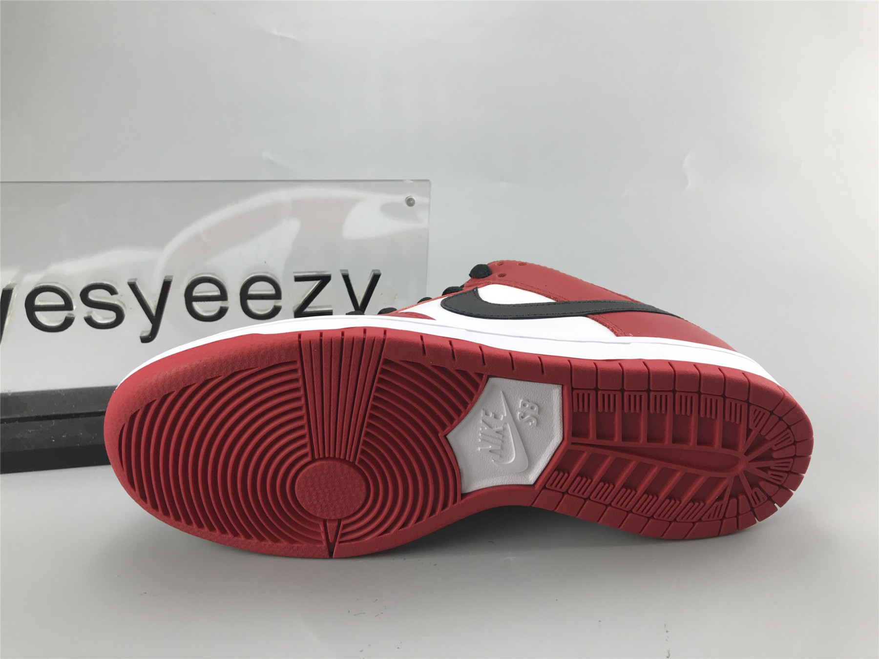 UA NIKE DUNK LOW SB 
