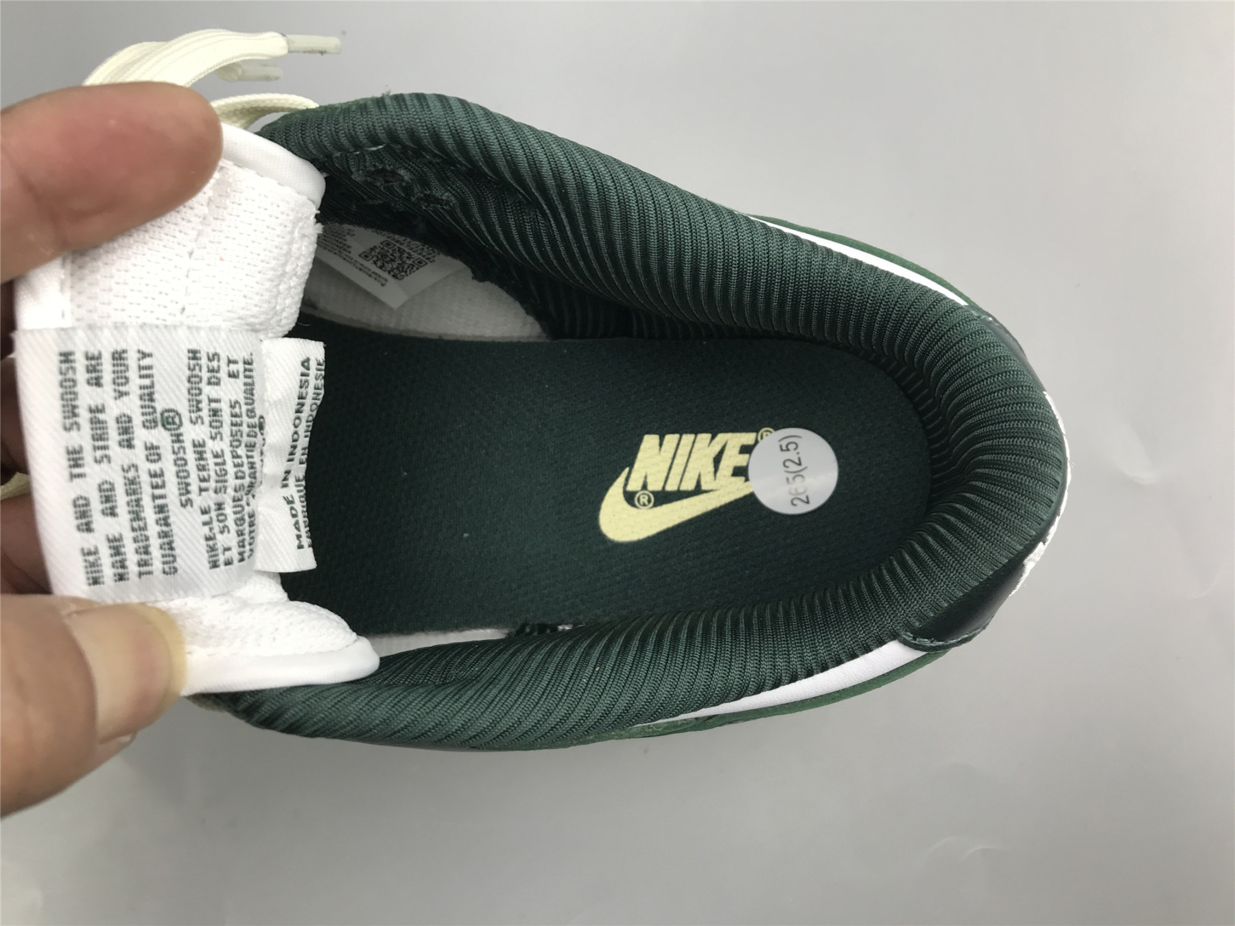 UA NIKE WMNS DUNK LOW