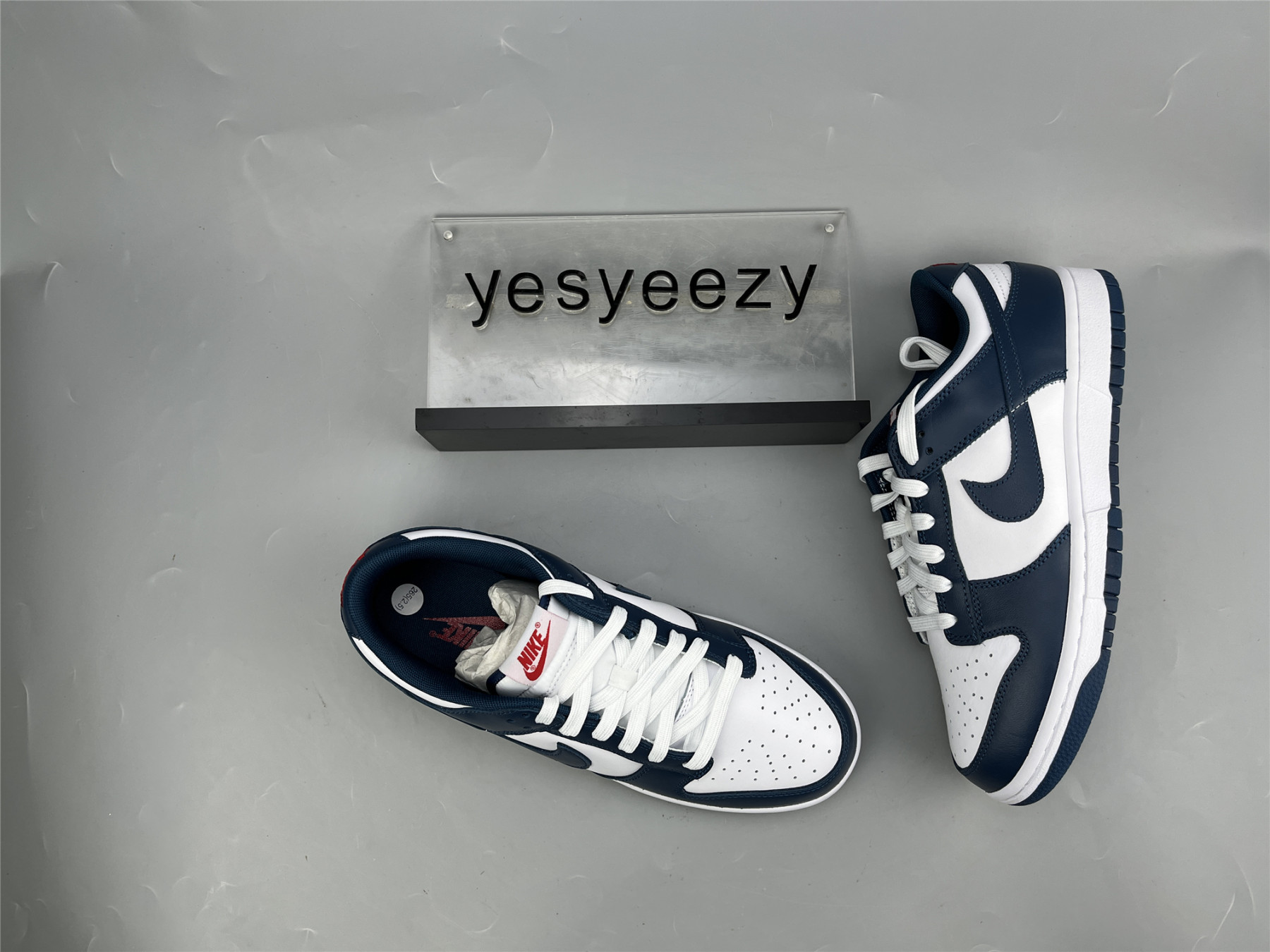 UA NIKE DUNK LOW 