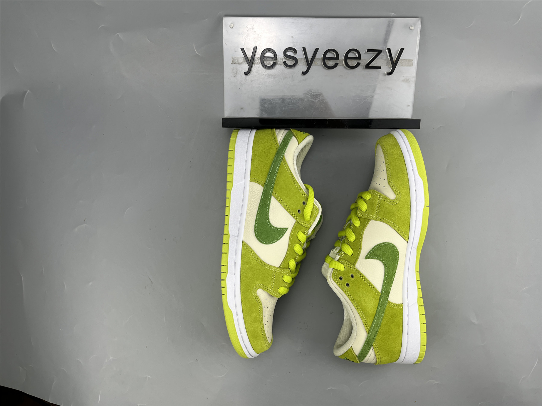 UA NIKE DUNK LOW PRO SB