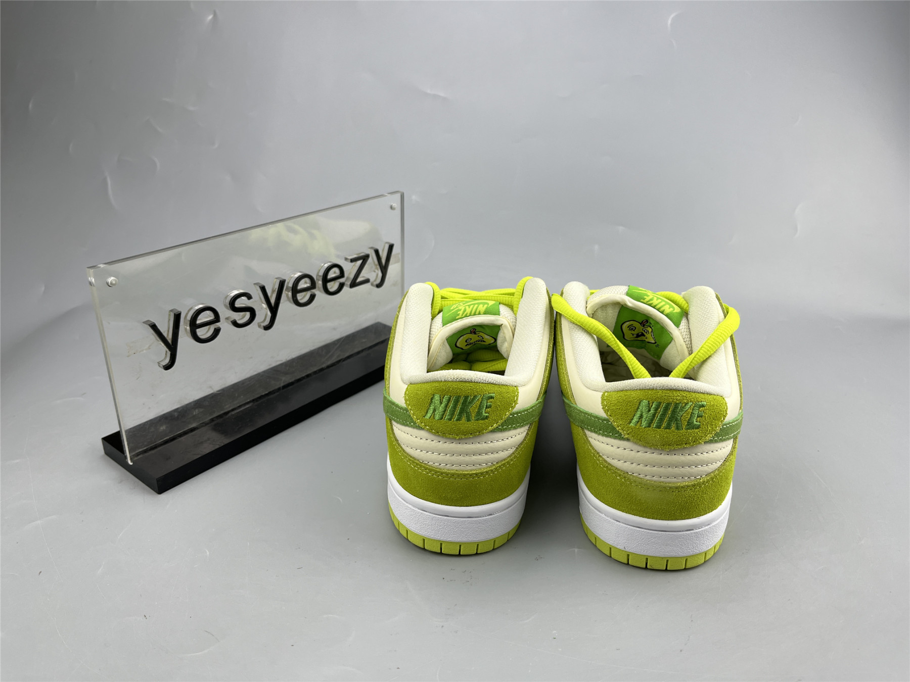 UA NIKE DUNK LOW PRO SB