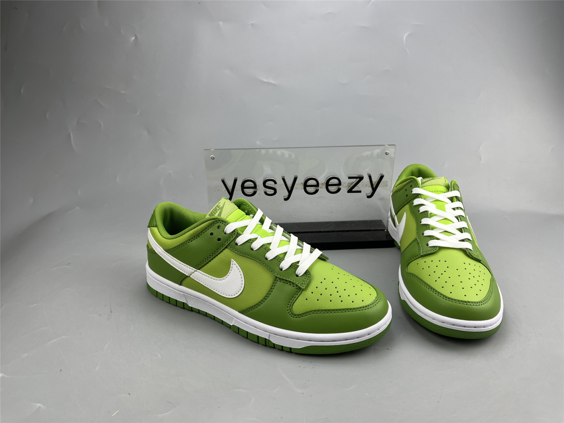 ua nike dunk low