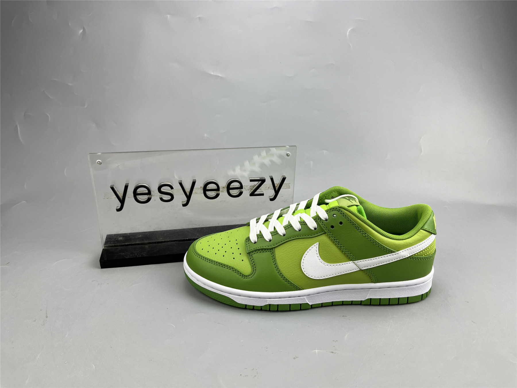 ua nike dunk low