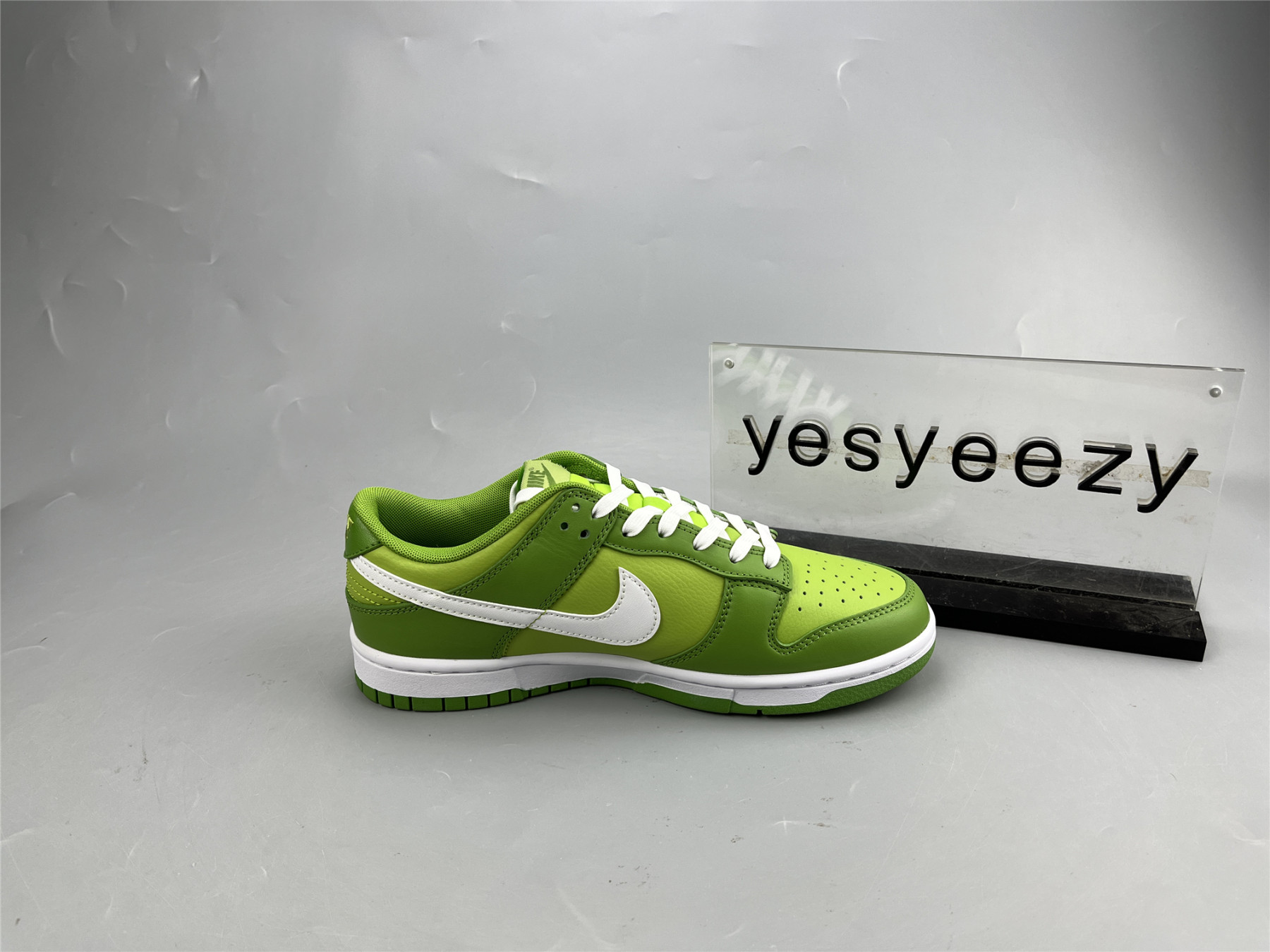 ua nike dunk low