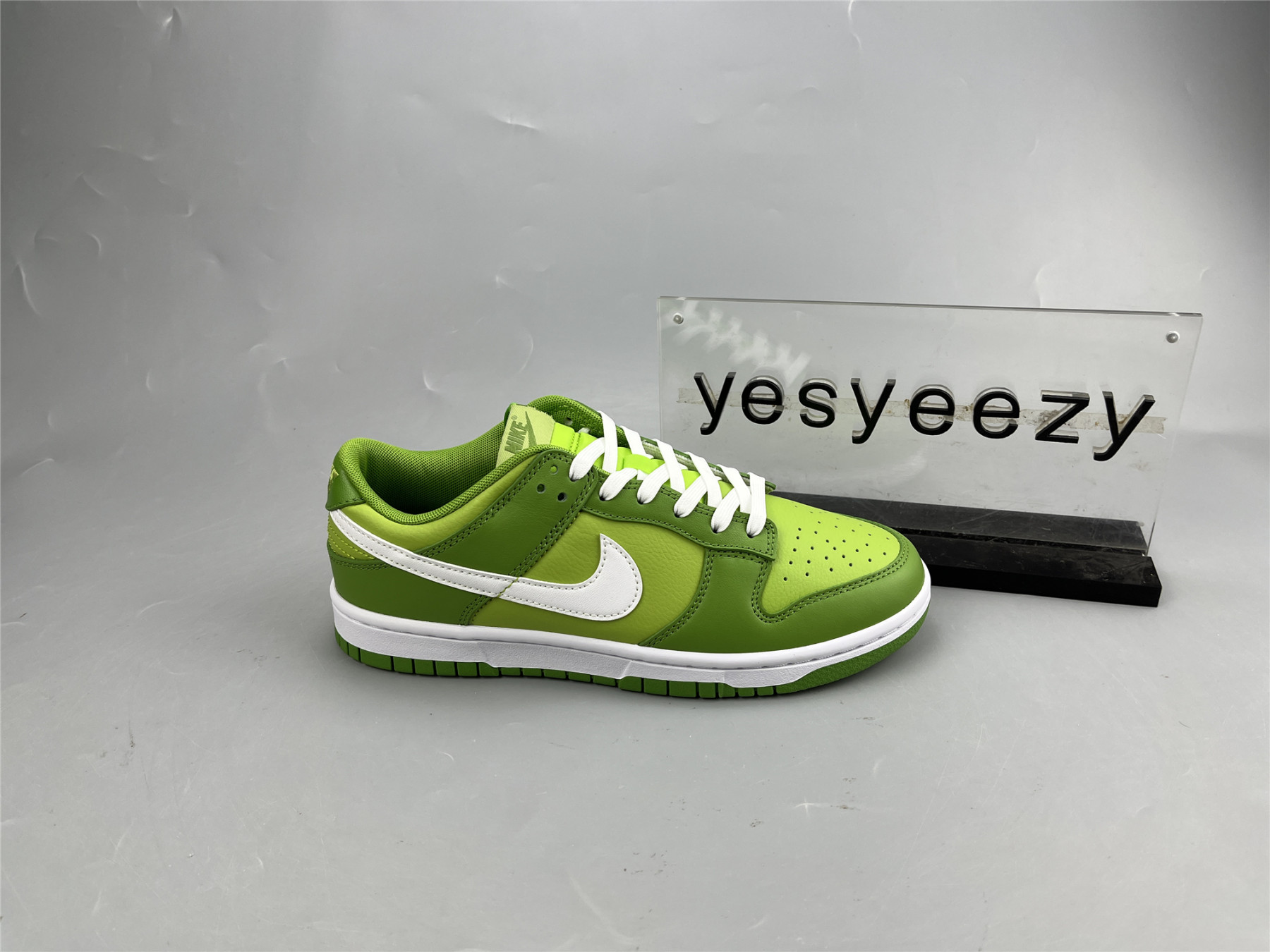 ua nike dunk low