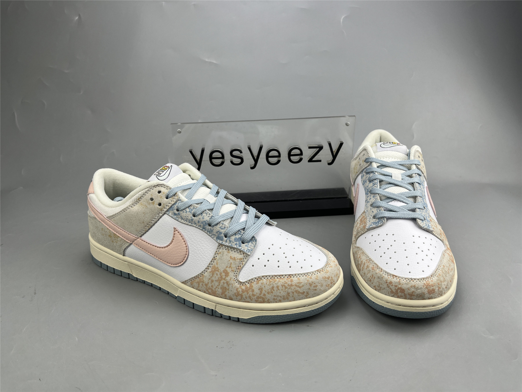 UA NIKE DUNK LOW 