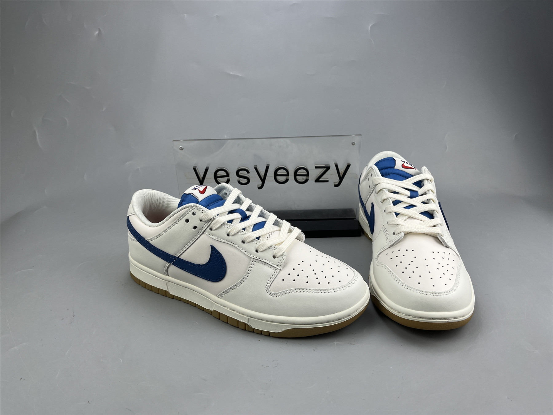 UA NIKE DUNK LOW SE 