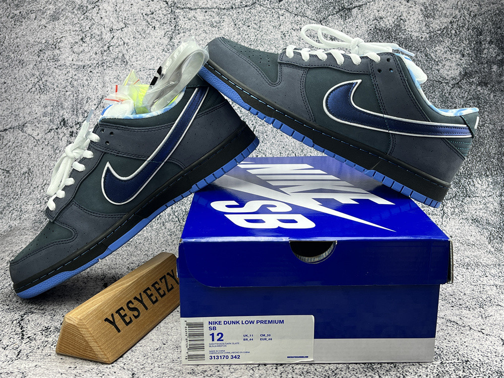 ua nike dunk low preM1vm sb 