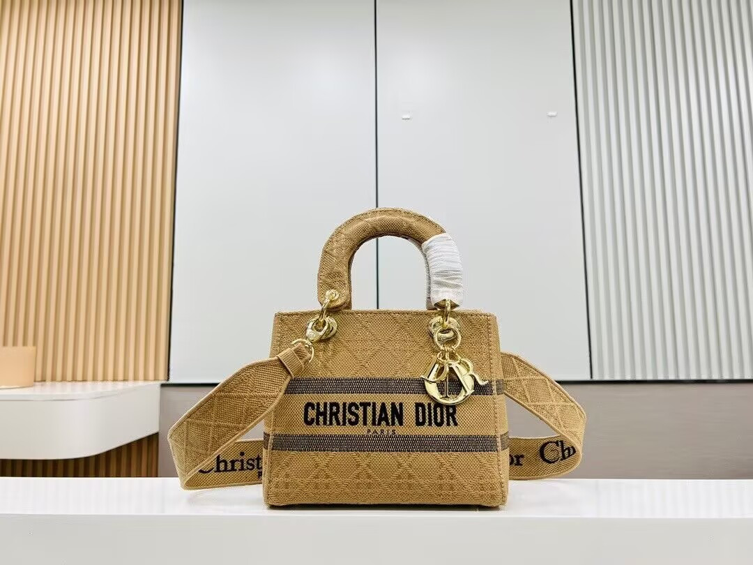 D10r Medium Lady D-Lite Bag 24x20x11cm
