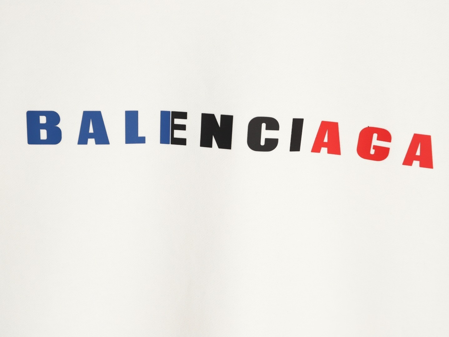 Ba1en*iaga 25FW Hoodies