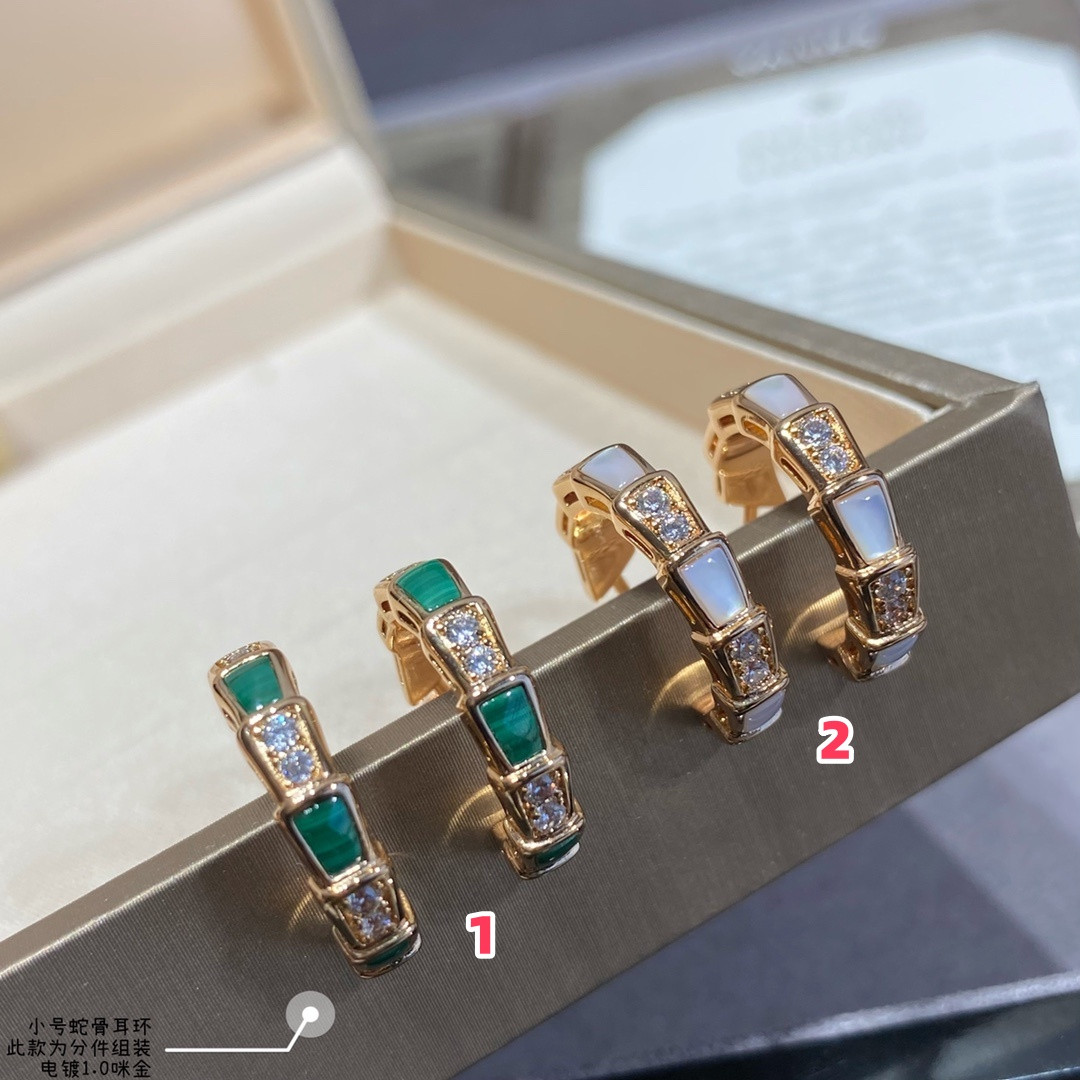 Bv1g*ai small Snake bone Earrings