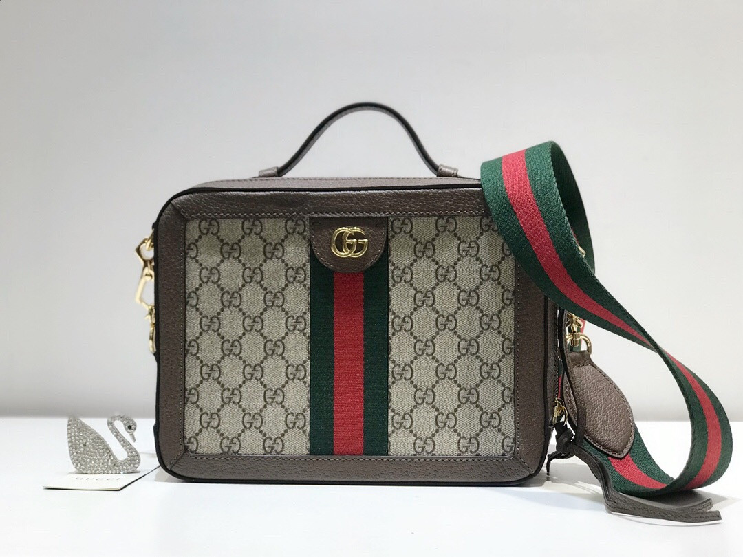 Gvc*1 GG Ophidia bag