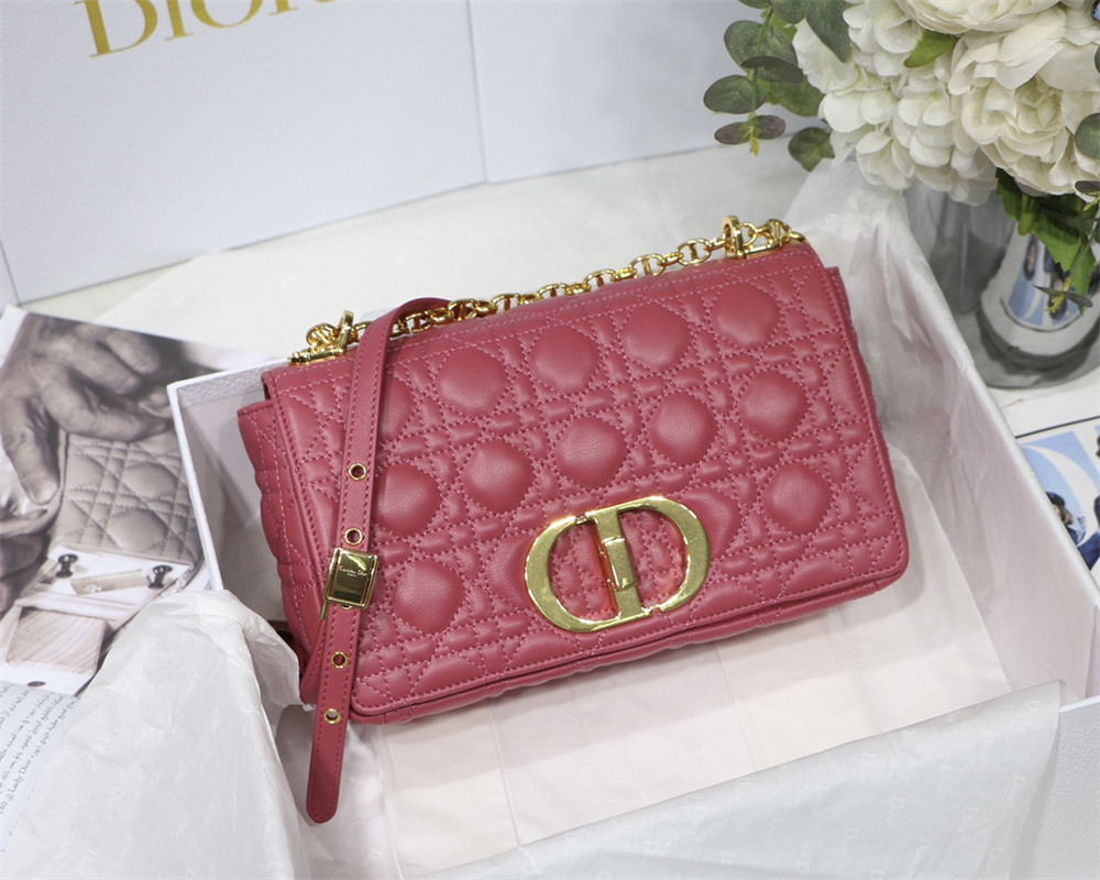 MEDIUM D10r CARO BAG S*pple Cannage Calfskin 25.5 x 15.5 x 8 cm
