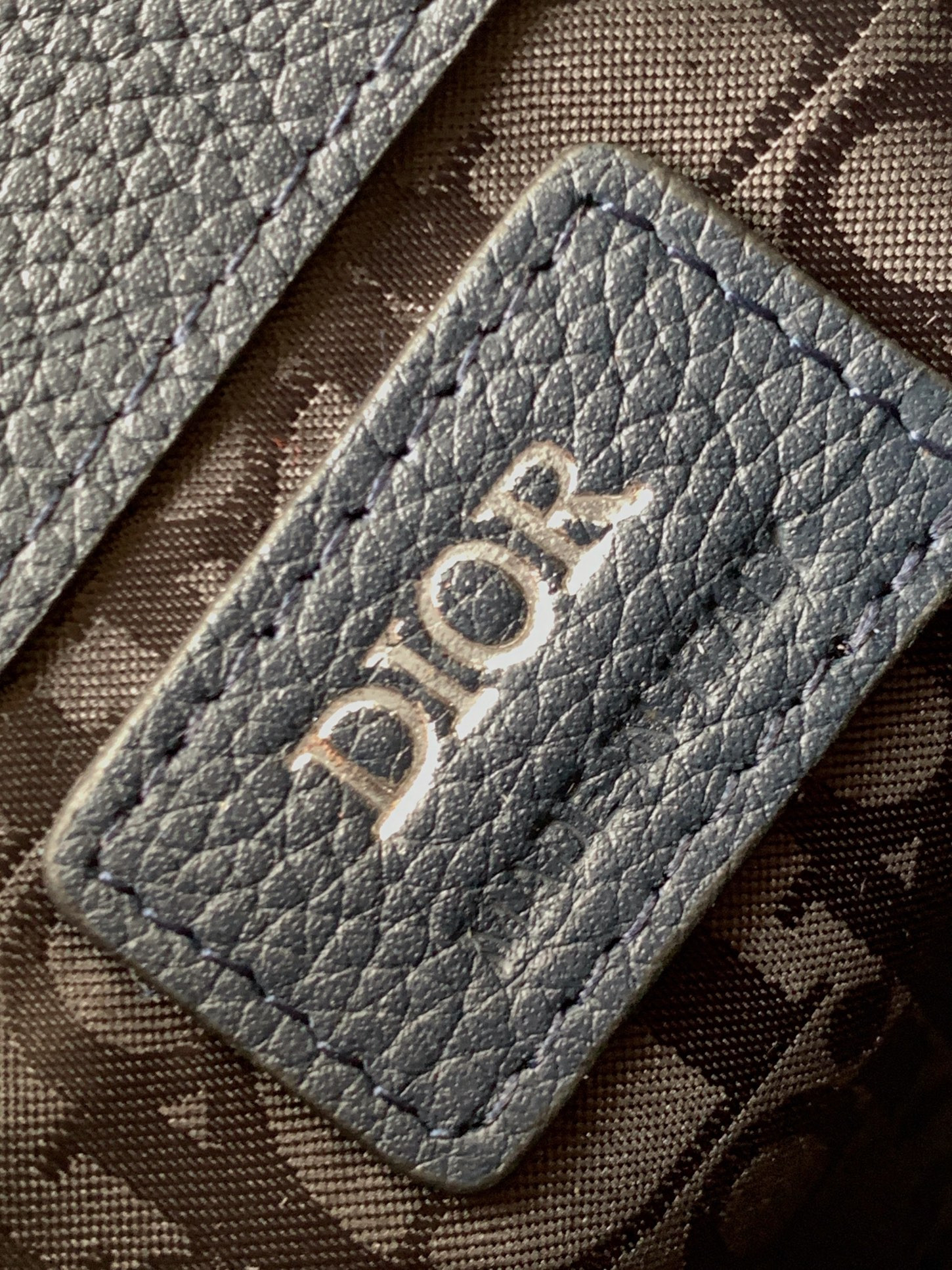 d10r safari N0r*h-south 14 x 19 x 6.5 cm