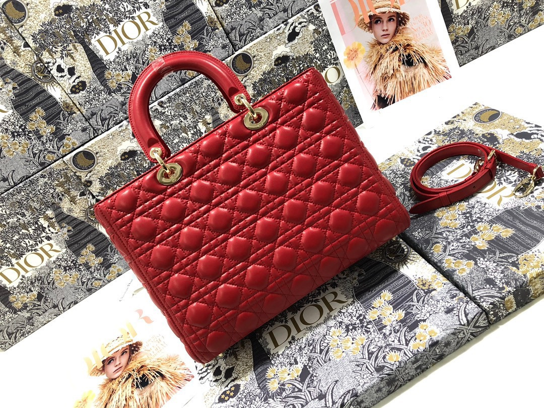 D10r Lady Bag 32 x 25 x 11cm