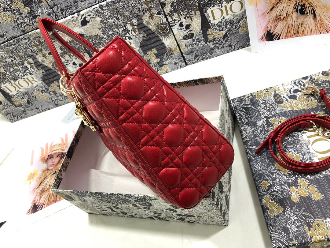 D10r Lady Bag 32 x 25 x 11cm