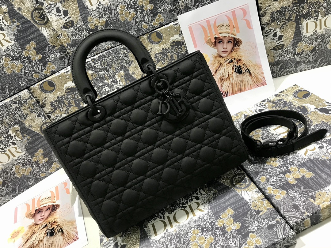D10r Lady Bag 32 x 25 x 11cm
