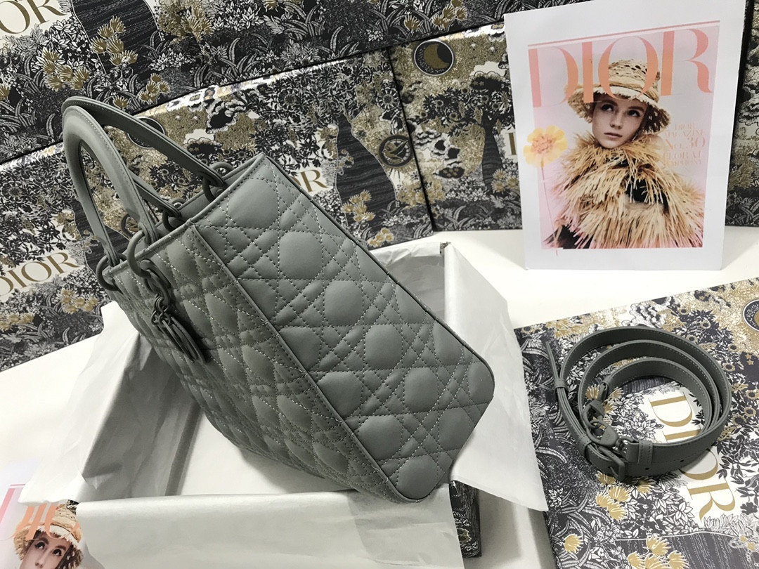 D10r Lady Bag 32 x 25 x 11cm